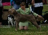  - Stunning News from World Dog Show 2010
