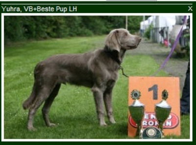 Von der Vilsaue - Yuhra TP1 Meilleur Puppy