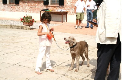 Von der Vilsaue - Résultats des Chiots Arko X Epsilon