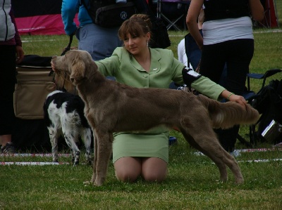 Von der Vilsaue - Stunning News from World Dog Show 2010