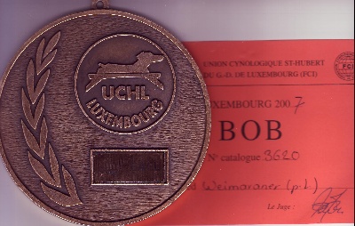 Von der Vilsaue - Ch.Arko Champion du Luxembourg