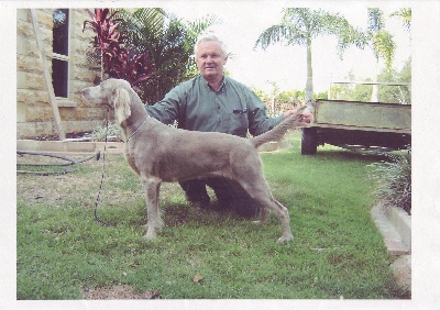 Von der Vilsaue - Aust.CH. Bromund NoNonsense X M-CH.TR.Arko