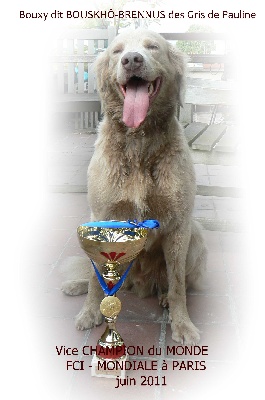 Von der Vilsaue - La Lignée d'ARKO compte un VICE CHAMPION DU MONDE !