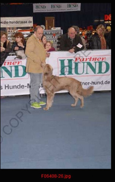 M-CH.CS.TR. Arko en 2008