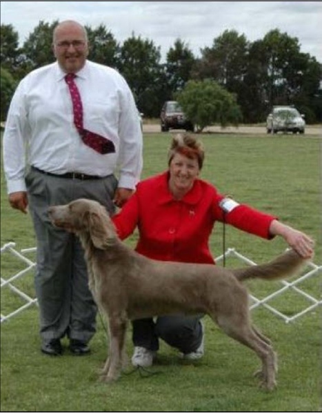 11)Portée en Australie<br> CH.Arko X Crystal