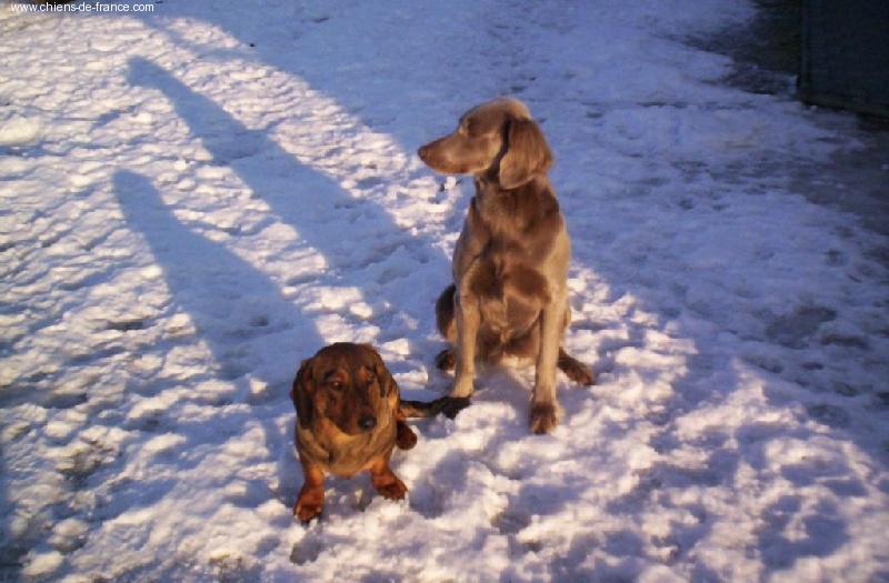 M-CH.Arko en 2006